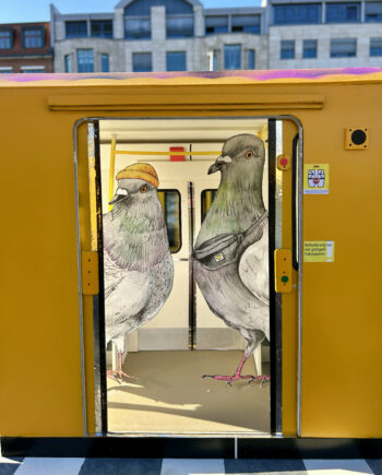 FINO x DAYRA "Tauben in der U-Bahn"